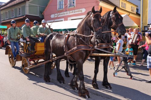 Pferdefeuerwehr